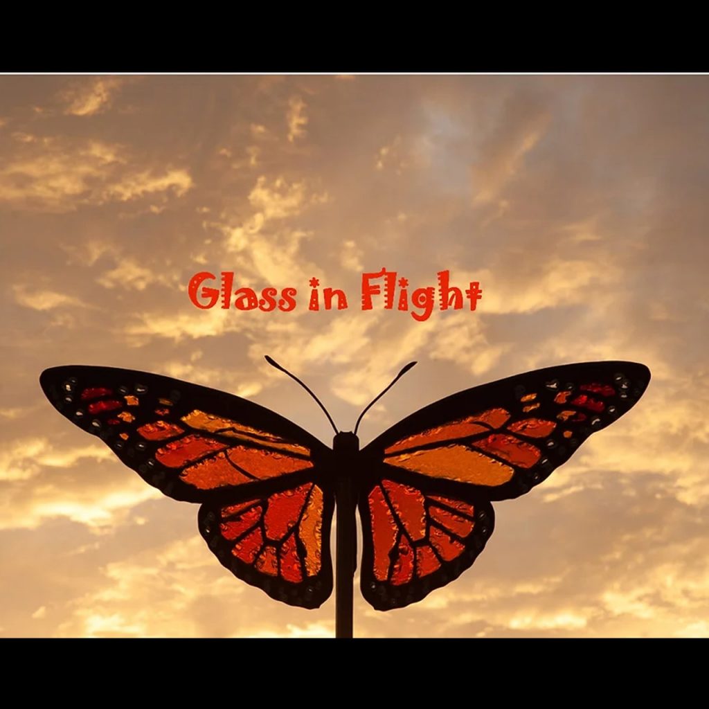 Glass in Flight Exhibit at the Arizona Sonora Desert Museum eButterfly